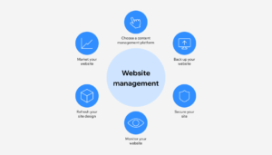 Professional Website Management Services