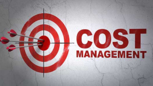 What is Cost Management